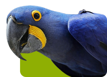 Paisagem turística representando os destinos da Carajás Experience Tour